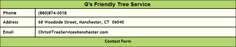 Tree Services Manchester