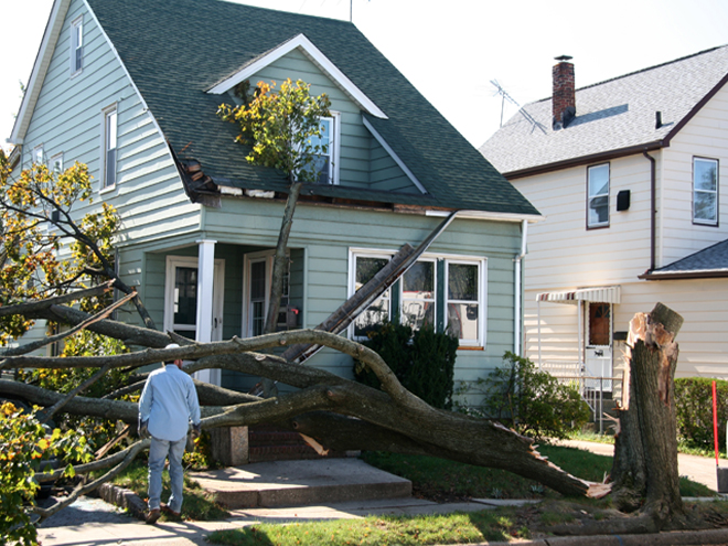 Dead Tree Removal in East Hartford Connecticut