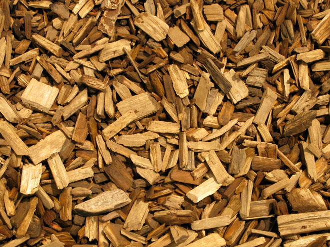 Free Tree Wood Chips in Bolton, Connecticut, CT